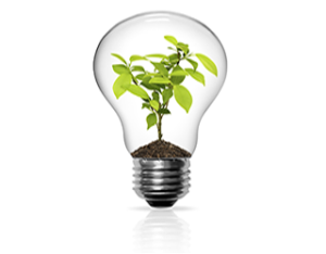 Lightbulb-with-Plant